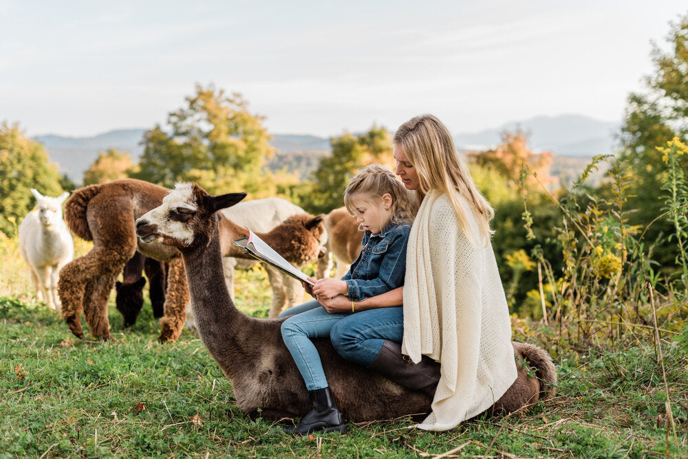 High Country Texture Throw